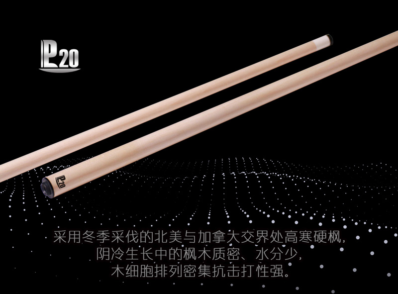 P20-前支